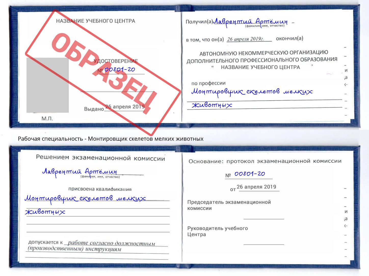 Монтировщик скелетов мелких животных Урус-Мартан